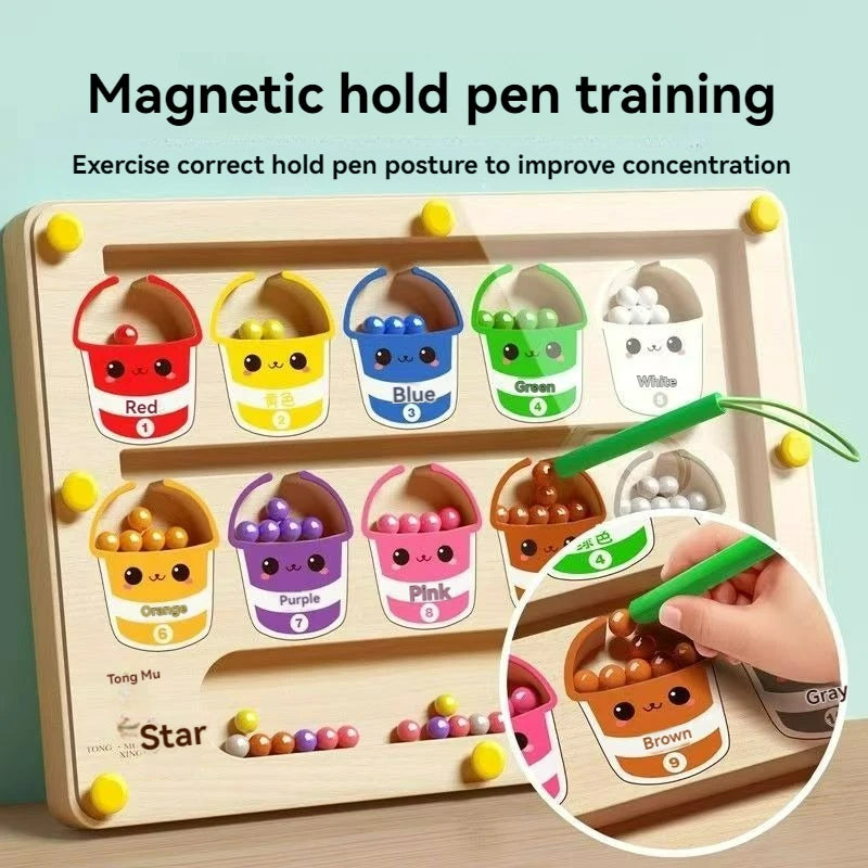 Magnetic Logic Maze