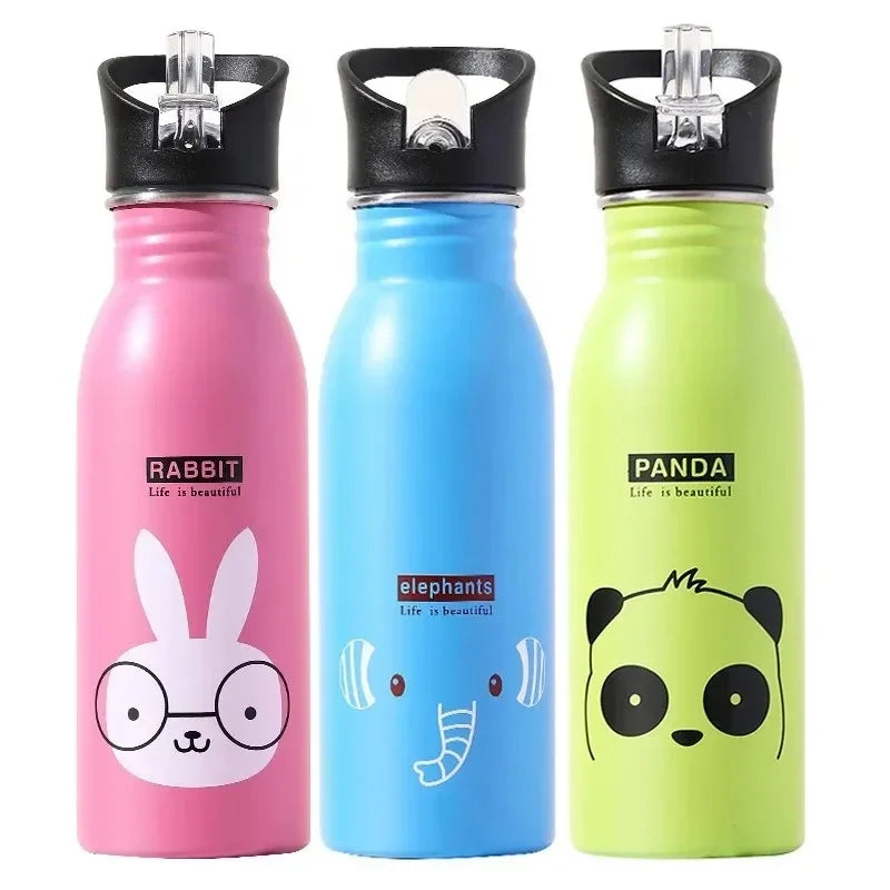 Stainless Steel Drink Bottle