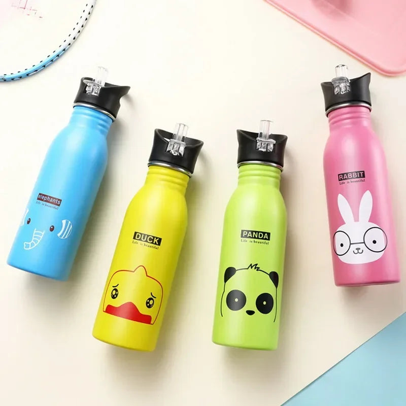 Stainless Steel Drink Bottle