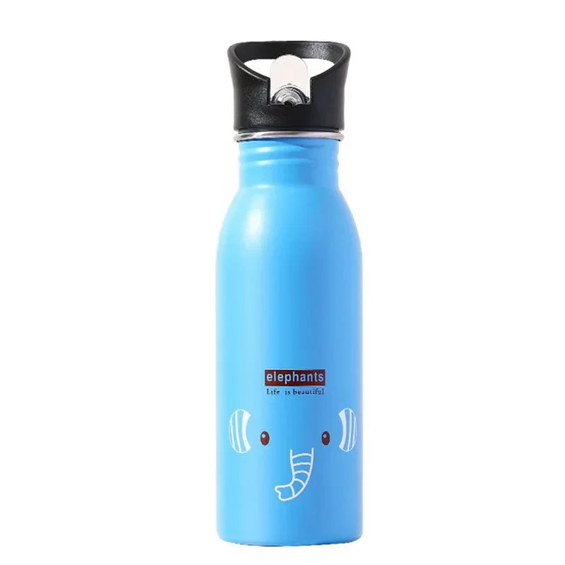 Stainless Steel Drink Bottle